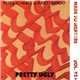 Peter Scherer & Arto Lindsay - Pretty Ugly